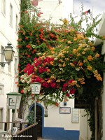 Albufeira alley flowerage