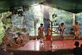 aboriginal dancers at rainforeststation