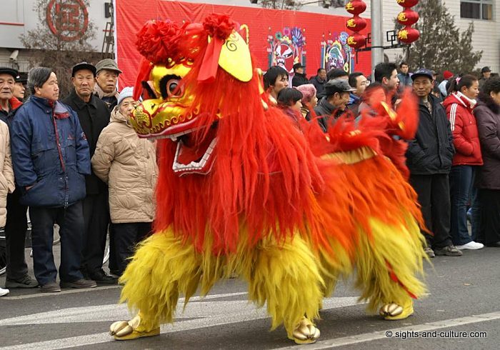 Beijing spring festival, dancing lion